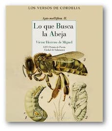 lo que busca la abeja