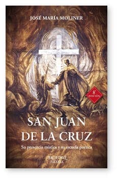 san juan de la cruz novela
